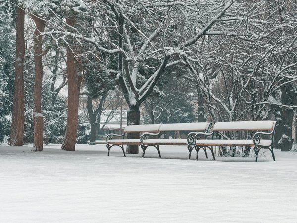 Les bienfaits du potassium sur la santé cardiovasculaire